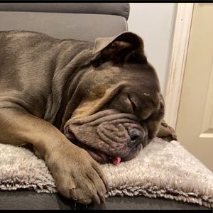 Meet your Posher, Gabriel